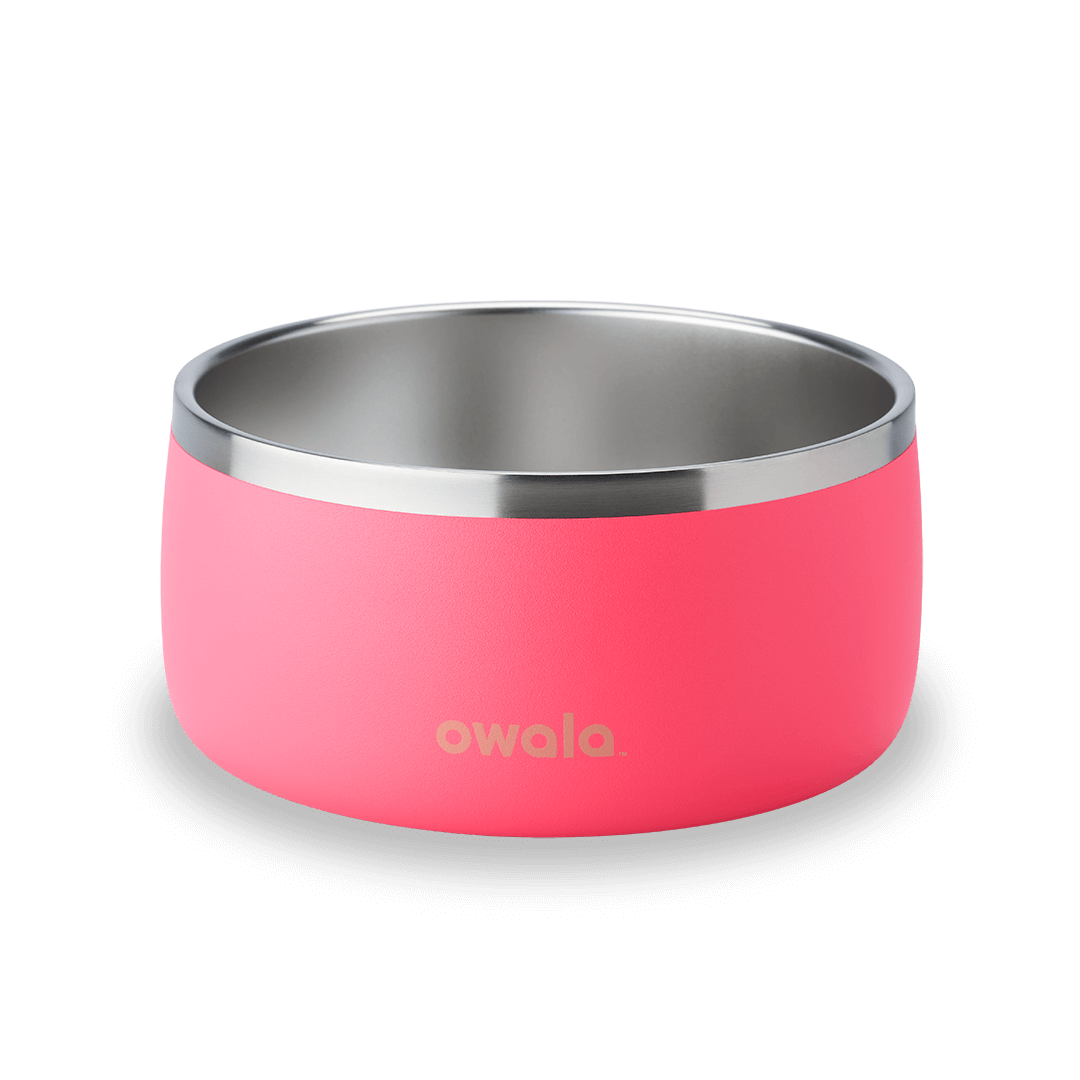 Pet Bowl JUVO3