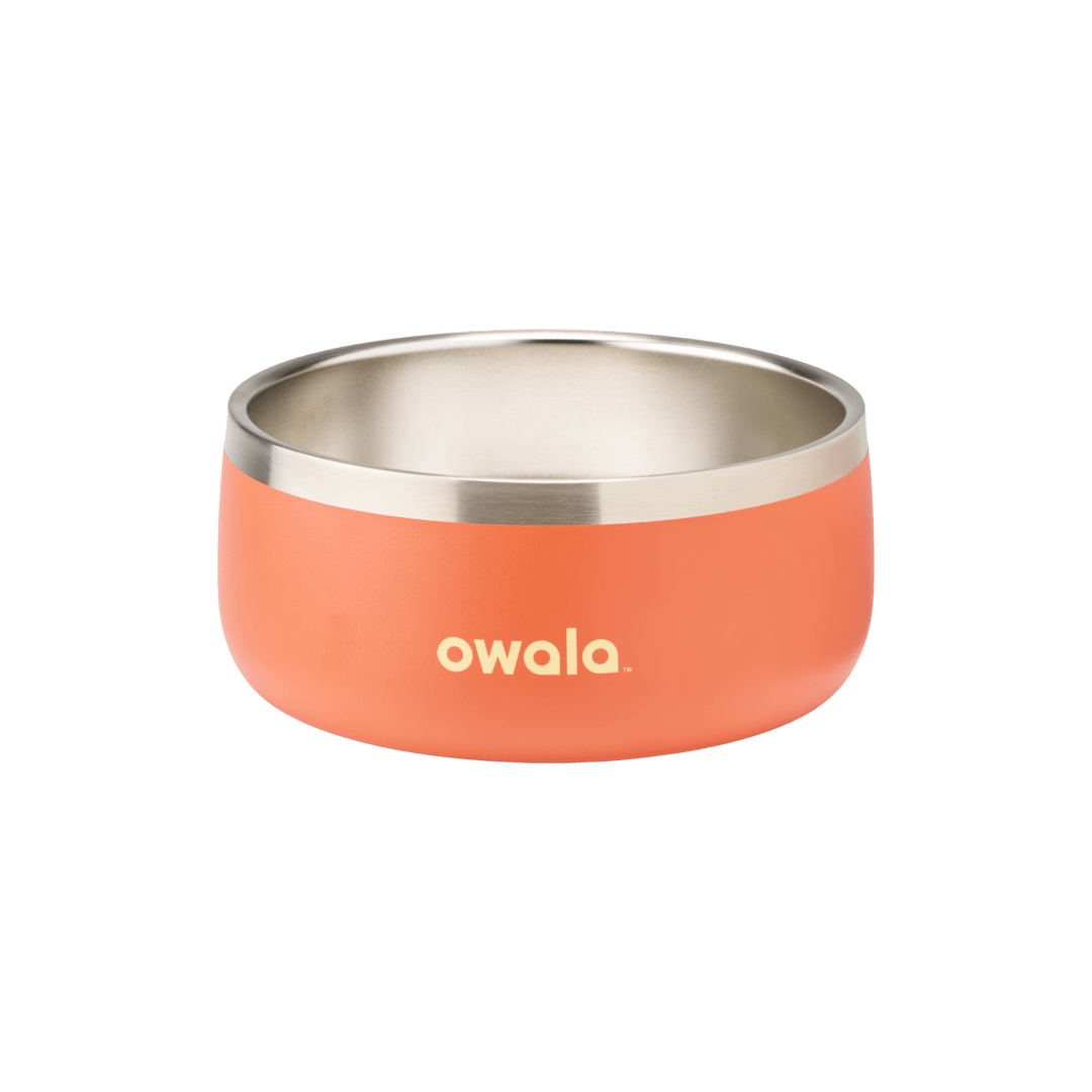 Pet Bowl JUVO3