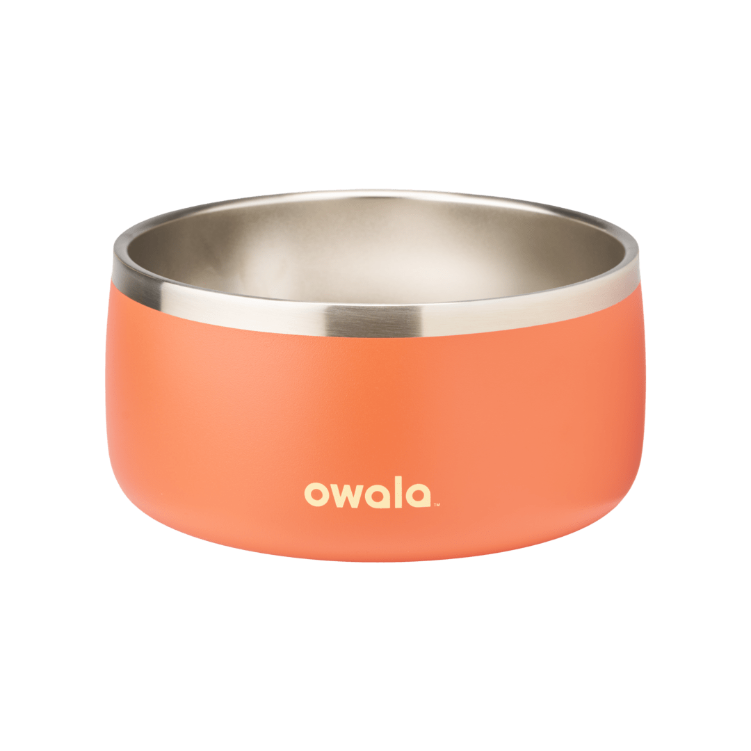 Pet Bowl JUVO3