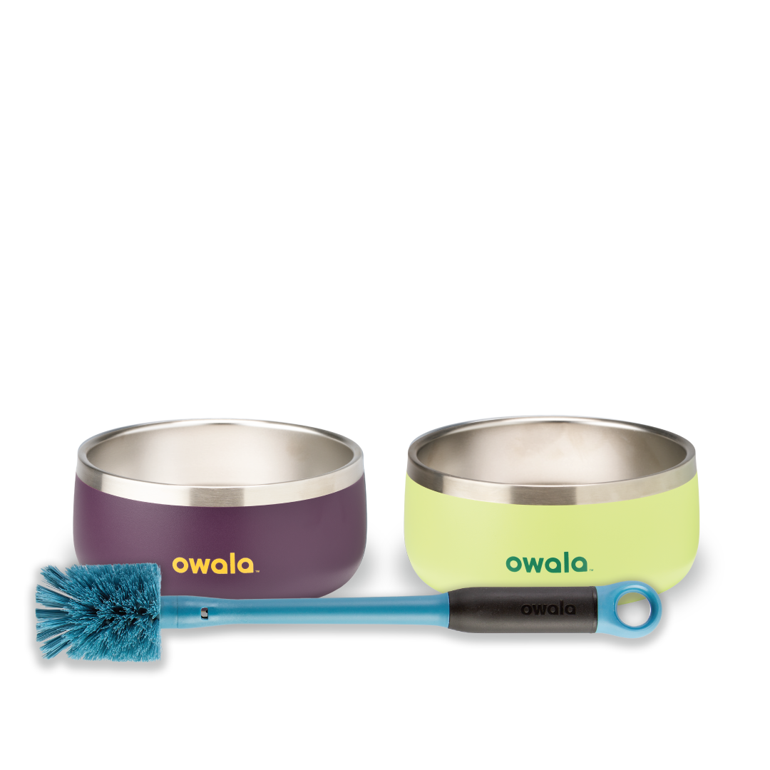 Pet Bowl JUVO3