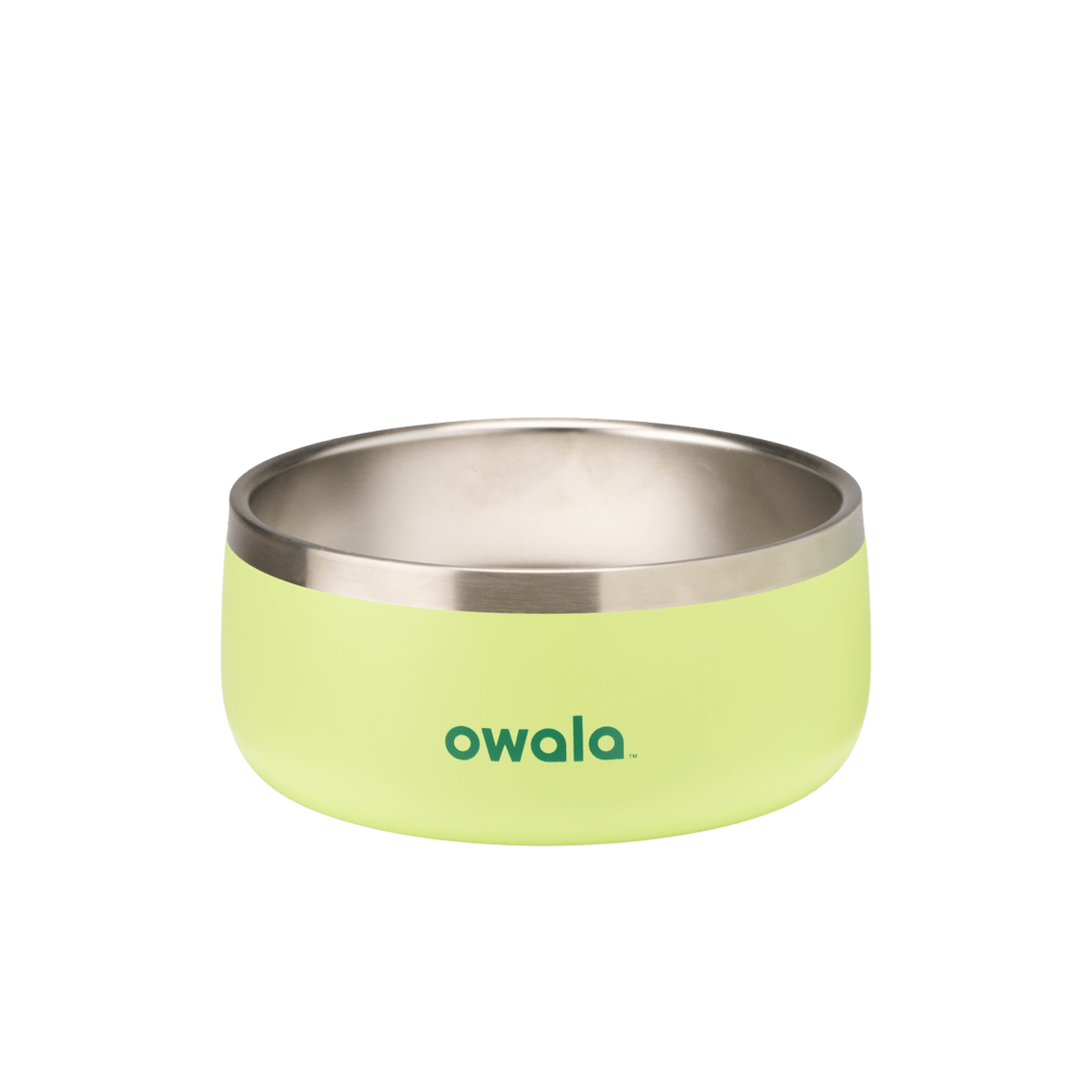 Pet Bowl JUVO3