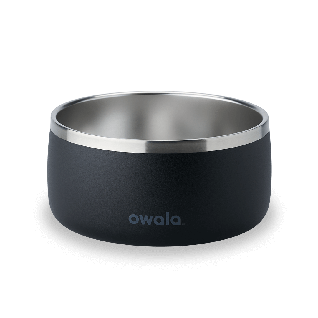 Pet Bowl JUVO3