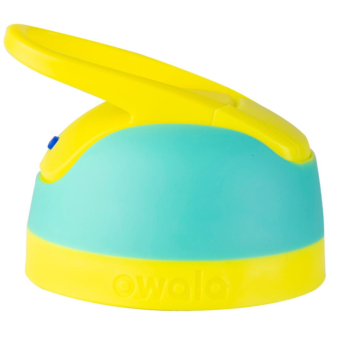 Replacement Lids OMTO3