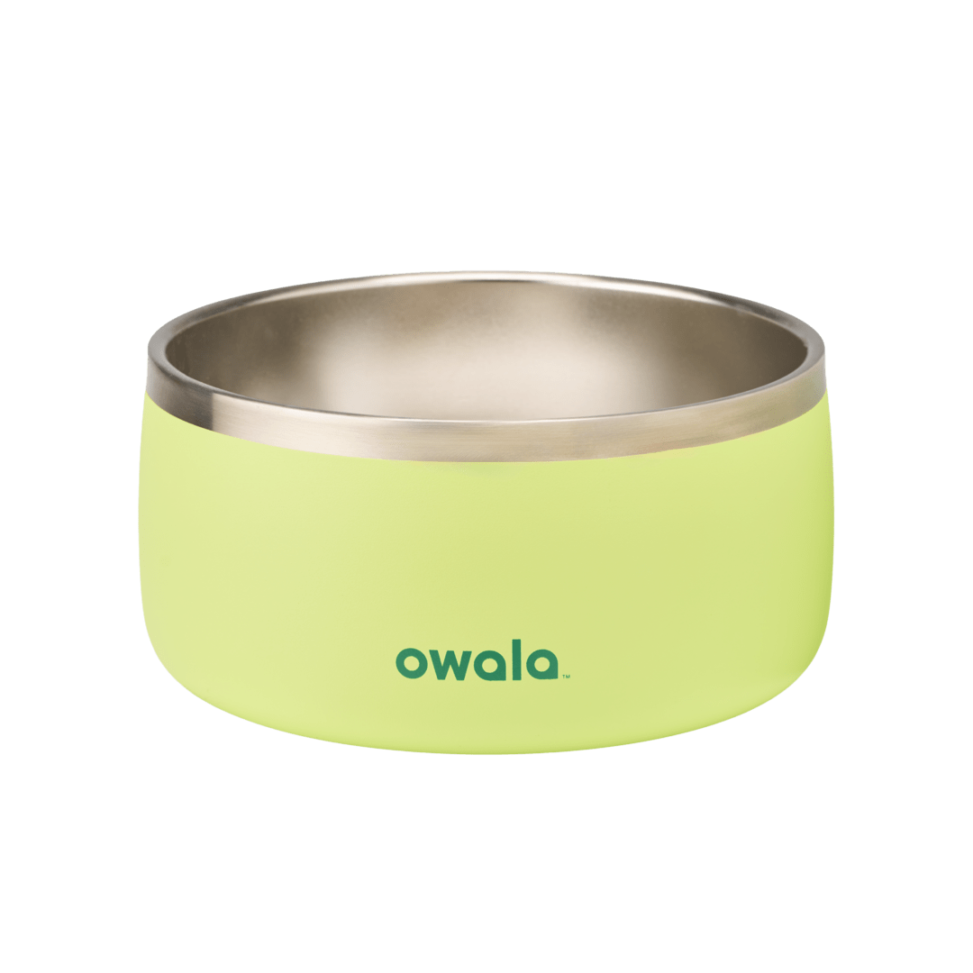 Pet Bowl JUVO3
