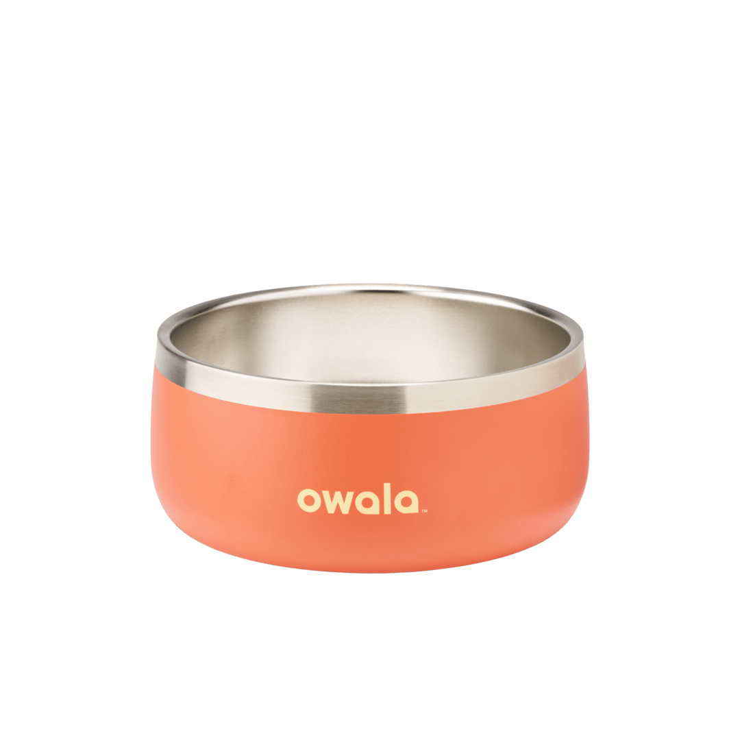 Pet Bowl JUVO3