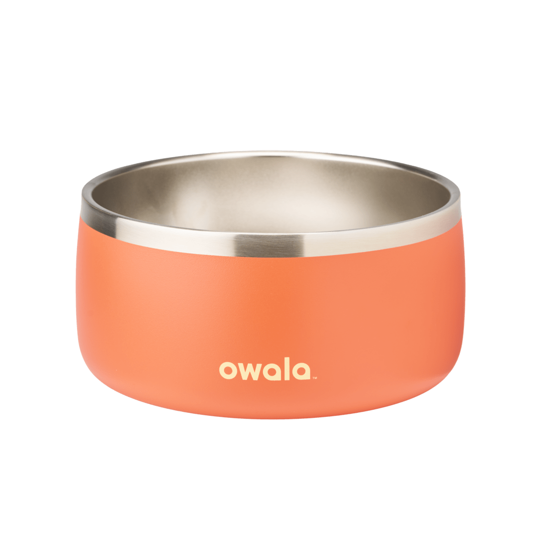 Pet Bowl JUVO3