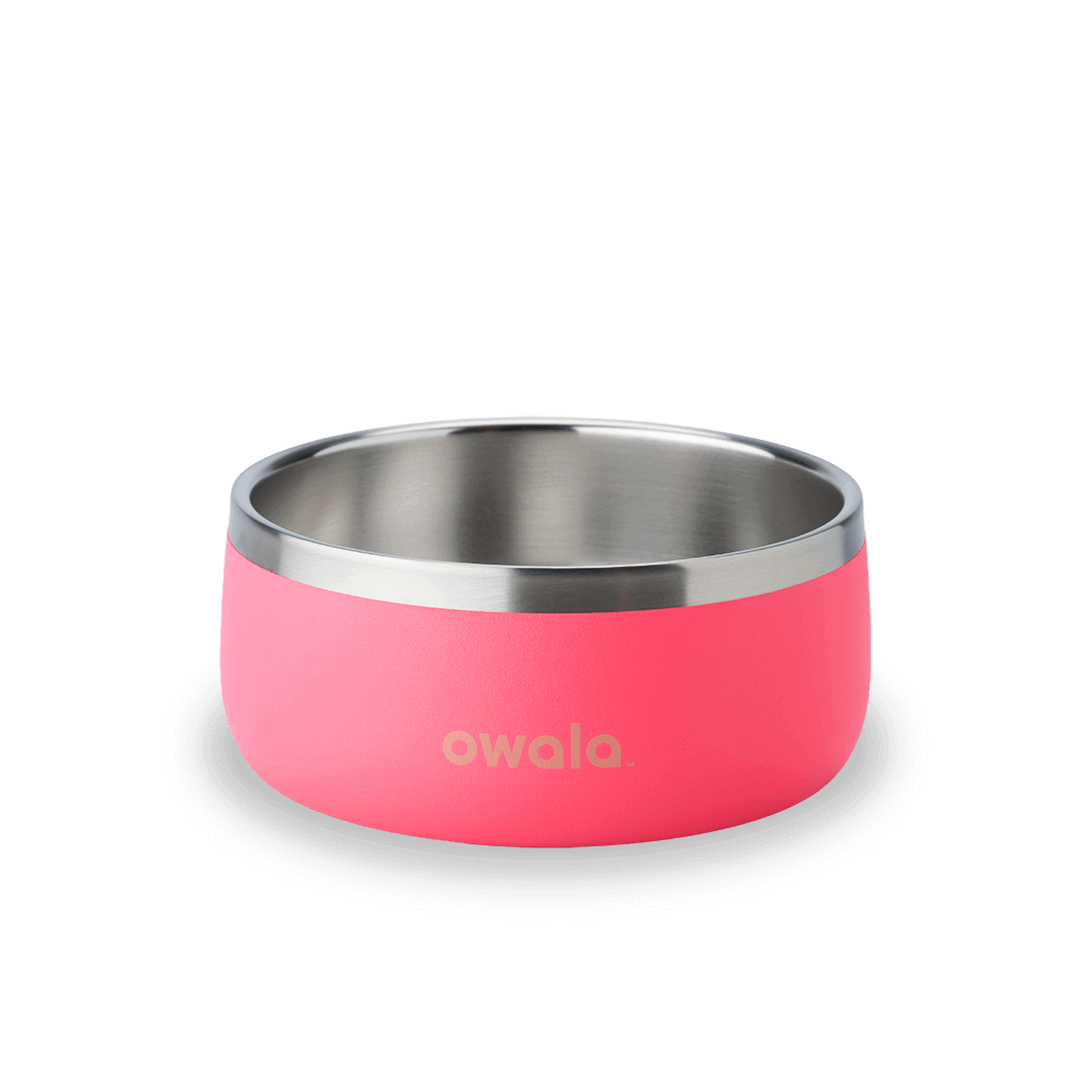 Pet Bowl JUVO3