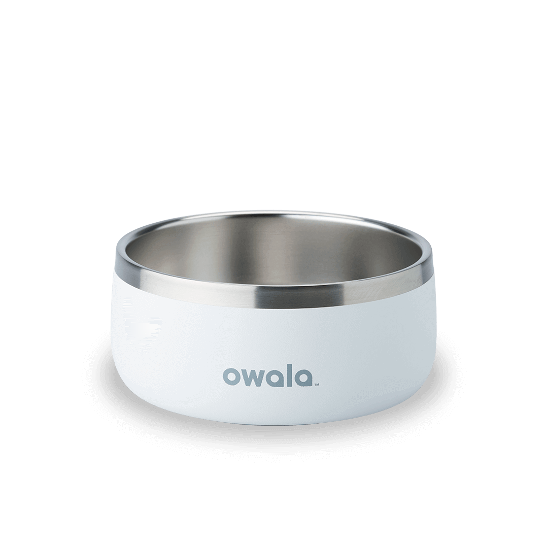 Pet Bowl JUVO3